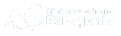 Clínica Veterinaria Patagonia