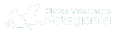 +569 8390 6409